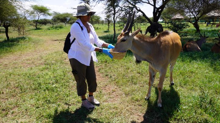 Tanzania