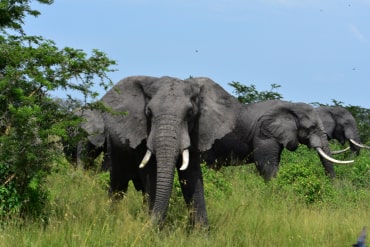 Rwanda