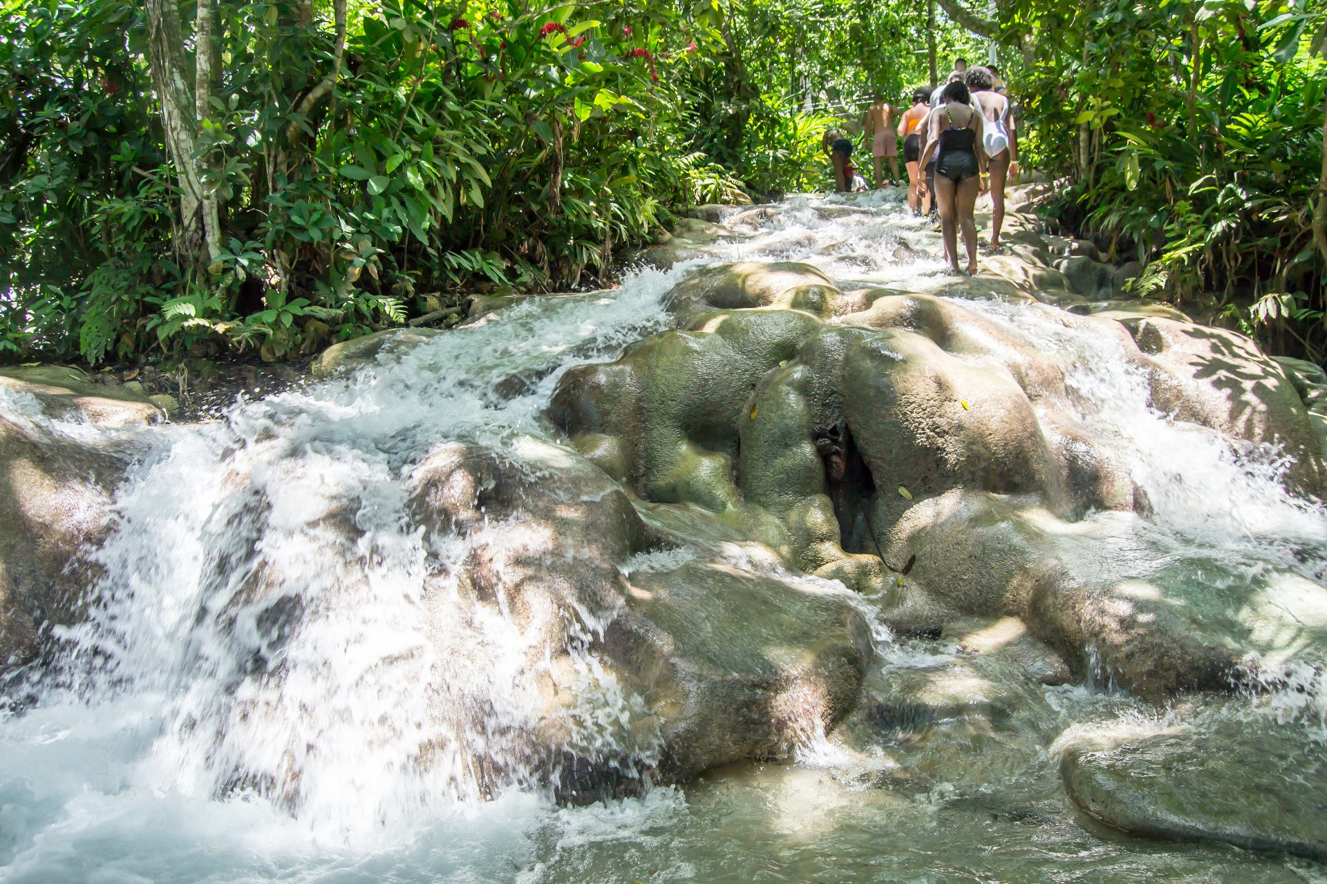People walking along Dunn's River Falls