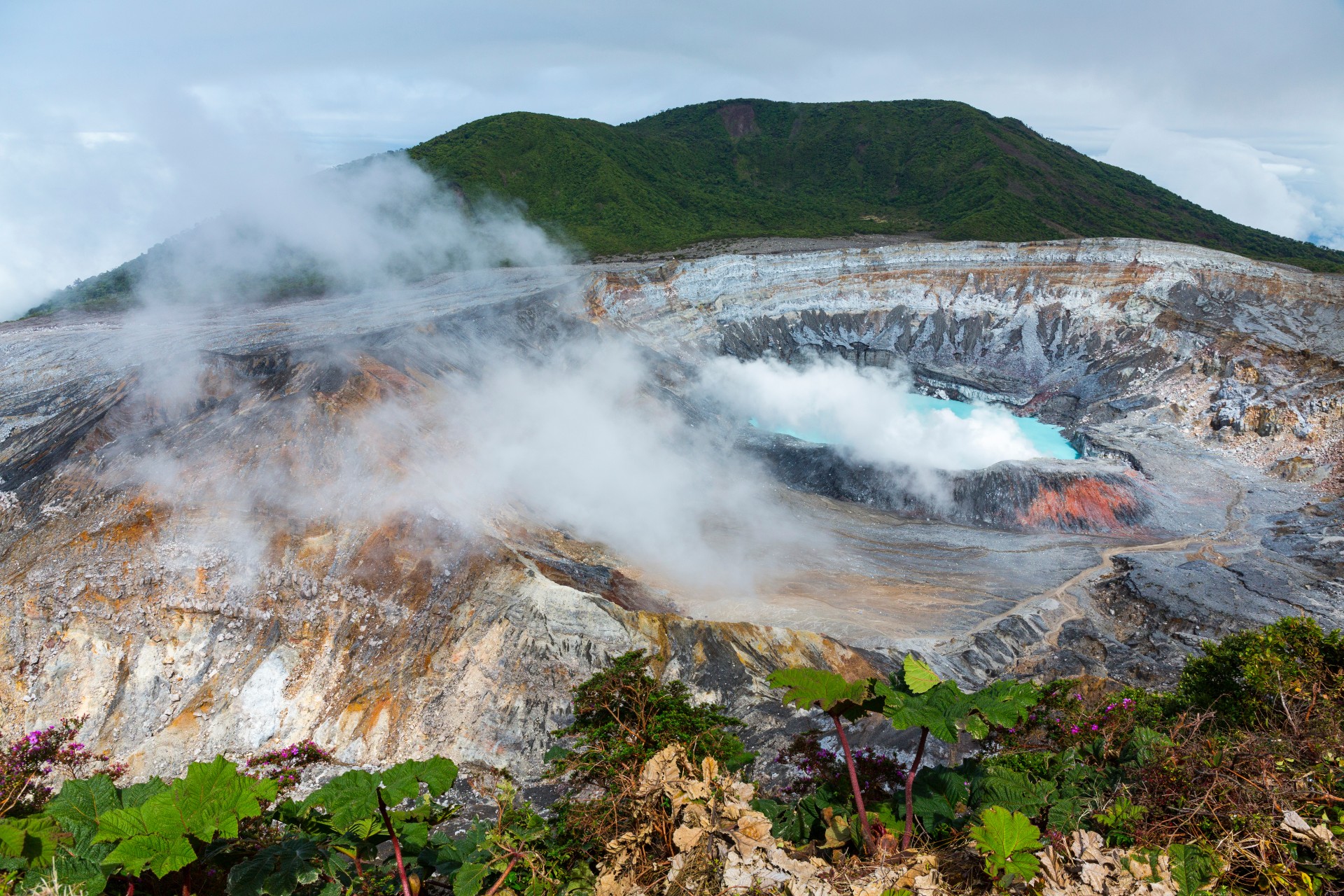 Poás Volcano National Park, Alajuela Region, Costa Rica, Central America, America