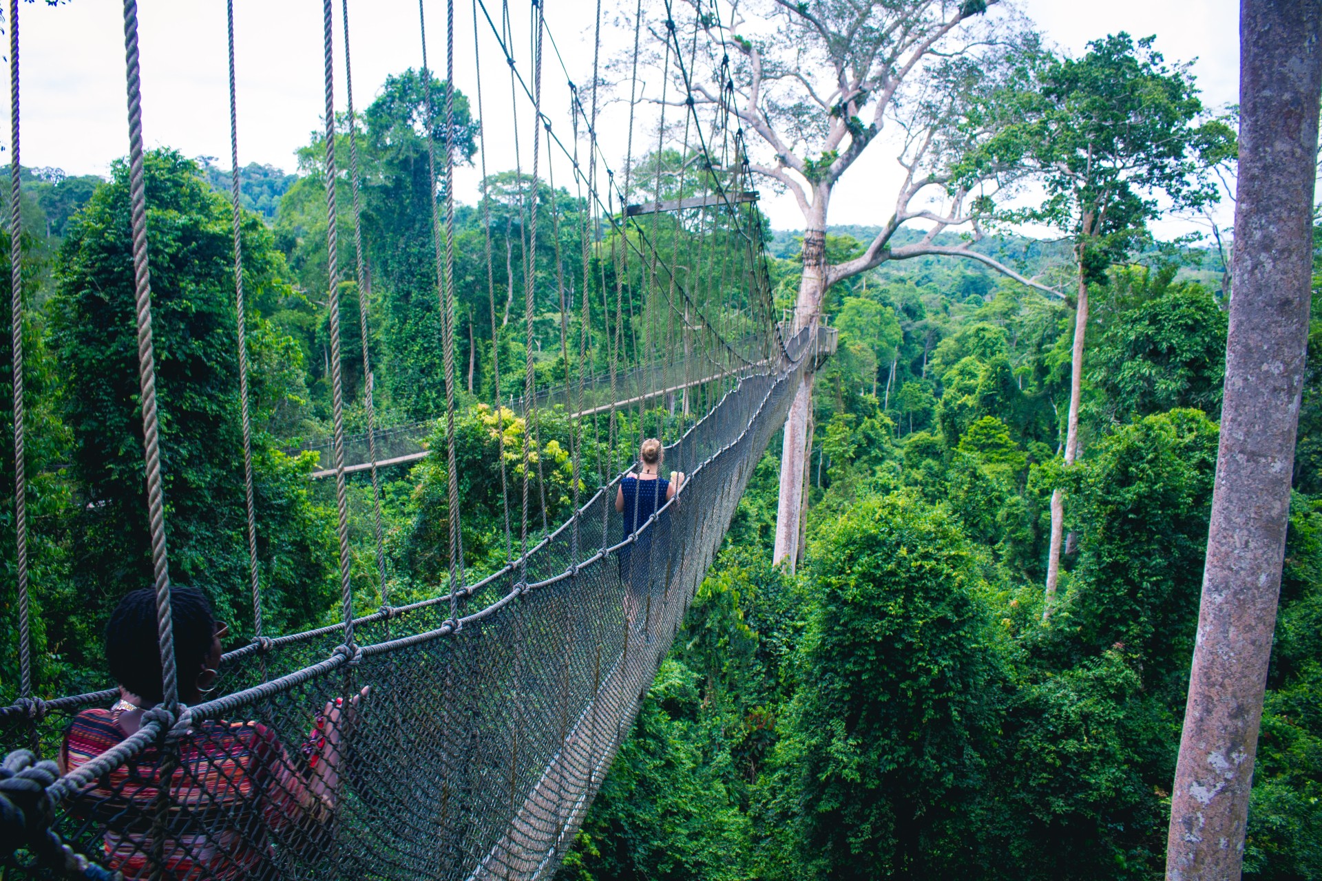 Canopy walkway in Kakum national park, Ghana